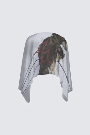 Mush C3 Shawl