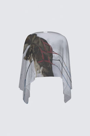 Mush C3 Shawl