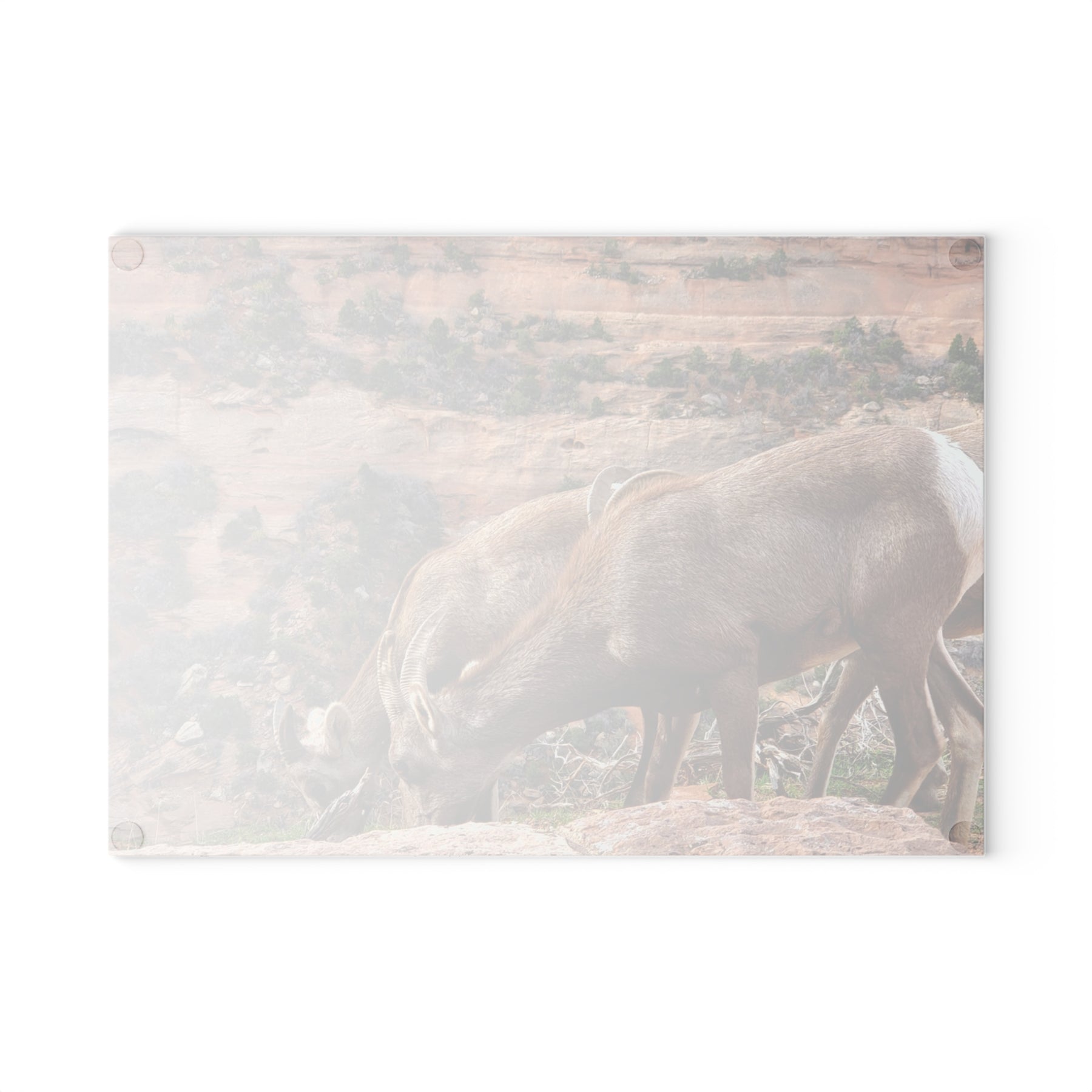 Wild Animal Tempered Glass Cutting Board