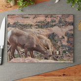 Wild Animal Tempered Glass Cutting Board