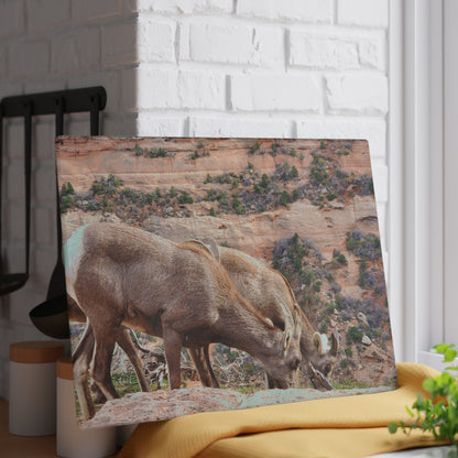 Wild Animal Tempered Glass Cutting Board