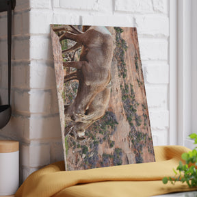 Wild Animal Tempered Glass Cutting Board