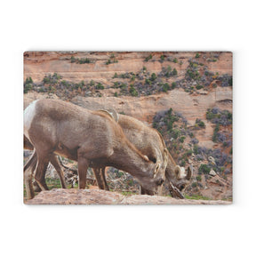 Wild Animal Tempered Glass Cutting Board