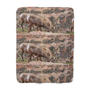 Wild Life Sherpa Fleece Blanket